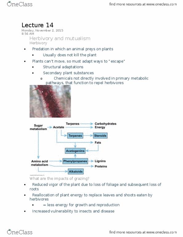 BIOL 2Q04 Lecture Notes - Lecture 14: Herbivore, Leaf Mold, Coevolution thumbnail