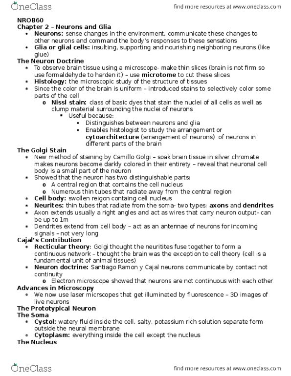 NROB60H3 Chapter Notes - Chapter 2: Camillo Golgi, Golgi'S Method, Neuron Doctrine thumbnail