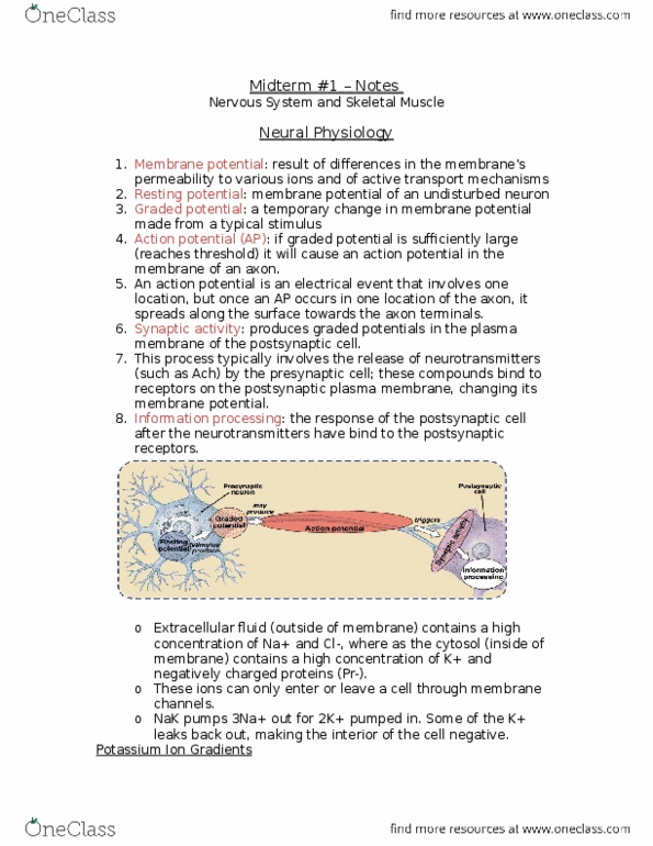 BIOL 153 Lecture Notes - Lecture 1: Voltage-Gated Potassium Channel, Electrochemical Gradient, Cell Membrane thumbnail