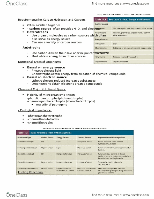 BLG 151 Lecture Notes - Lecture 11: Lithotroph, Phototroph, Heterotroph thumbnail