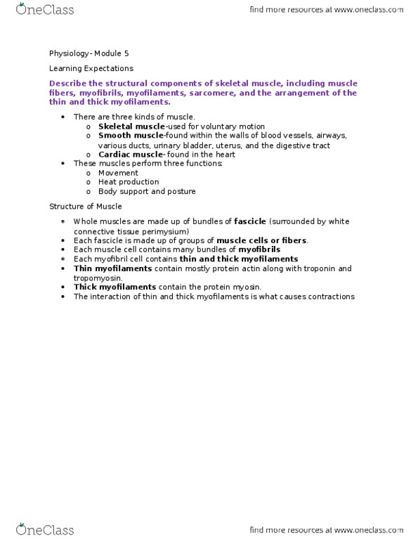 Physiology 1020 Lecture Notes - Lecture 5: Tetanic Contraction, Neuromuscular Junction, Sarcomere thumbnail