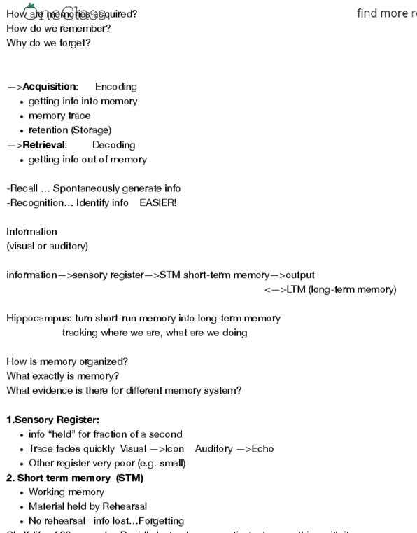 Psychology 1000 Lecture Notes - Lecture 8: Short-Term Memory thumbnail