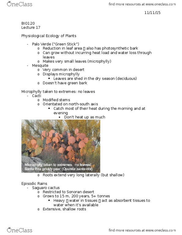BIO120H1 Lecture Notes - Lecture 17: Acer Saccharum thumbnail
