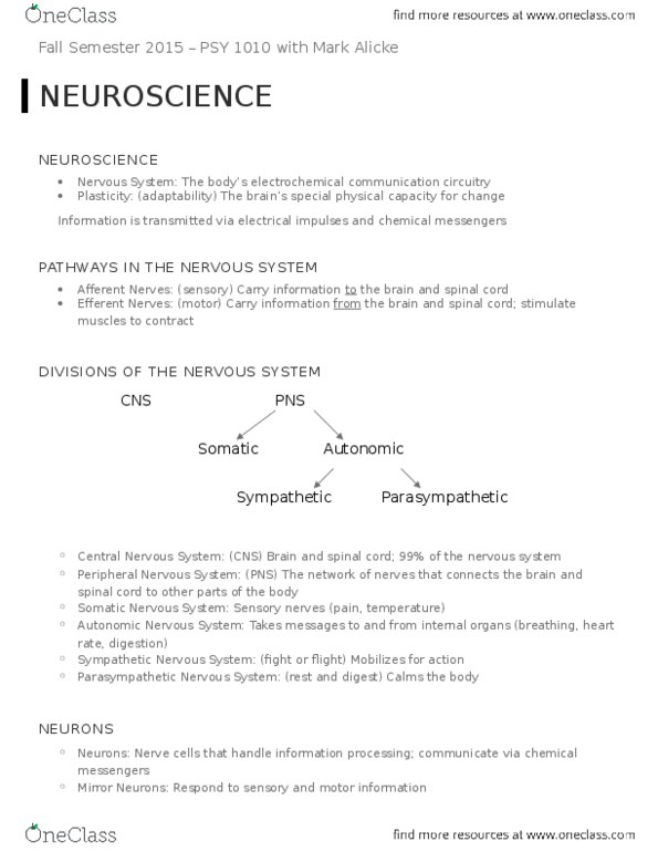 PSY 1010 Chapter Notes - Chapter 3: Action Potential, Basal Ganglia, Midbrain thumbnail