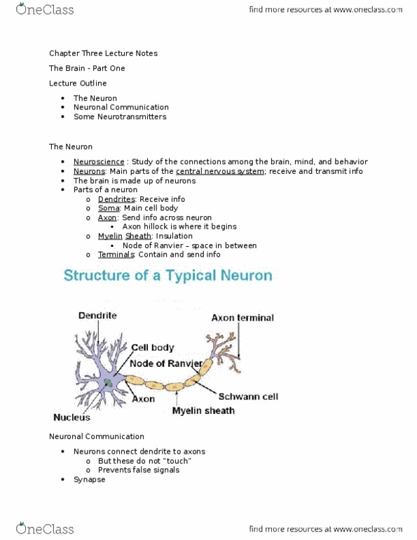 PSY 1001 Lecture Notes - Lecture 1: Motor Cortex, Schwann Cell, Homeostasis thumbnail