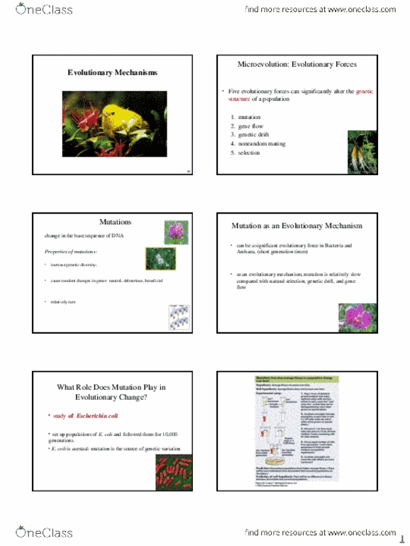 BIO152H5 Lecture Notes - Lecture 13: Congenital Heart Defect, Genotype Frequency, Allele Frequency thumbnail