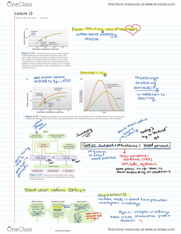 CAS BI 315 Lecture 13: Lecture 13 thumbnail