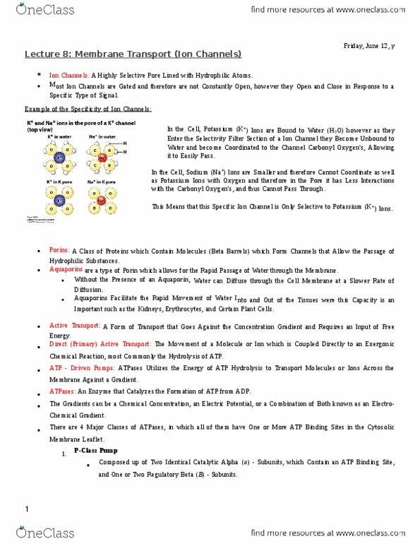 MBB 231 Lecture Notes - Lecture 8: Inta, Hydrolysis, Enzyme thumbnail