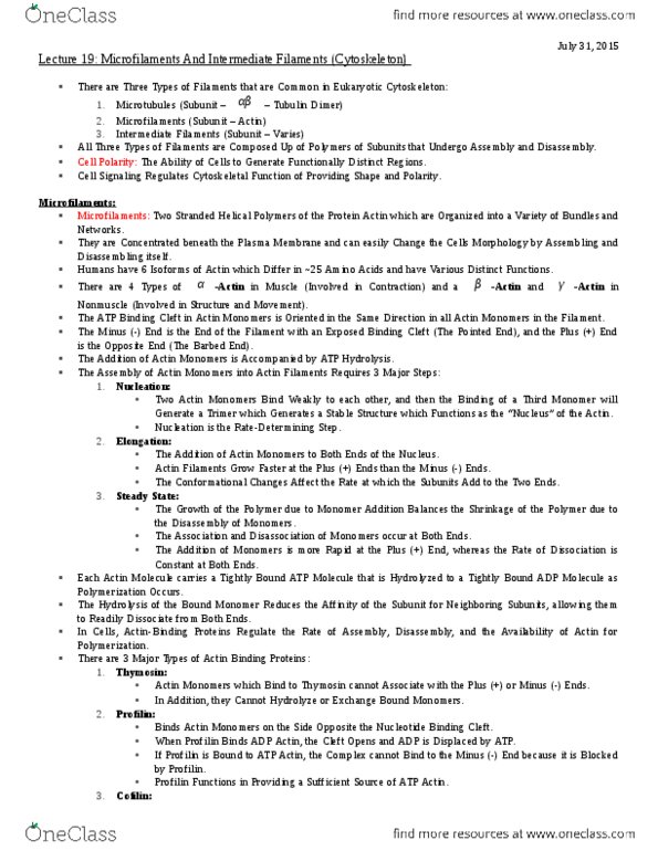 MBB 231 Lecture Notes - Lecture 19: Cysteine, Bunding, Keratin thumbnail