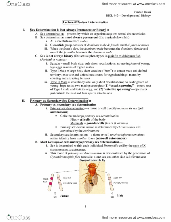 BIOL 435 Lecture 22: Lecture 22 Notes thumbnail