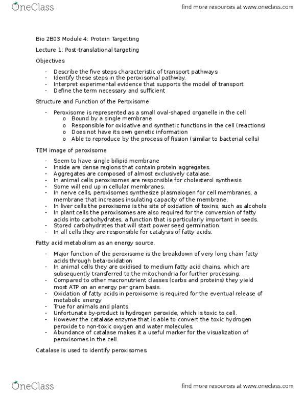 BIOLOGY 2B03 Lecture Notes - Lecture 4: Amphiphile, Axoneme, Hspa8 thumbnail