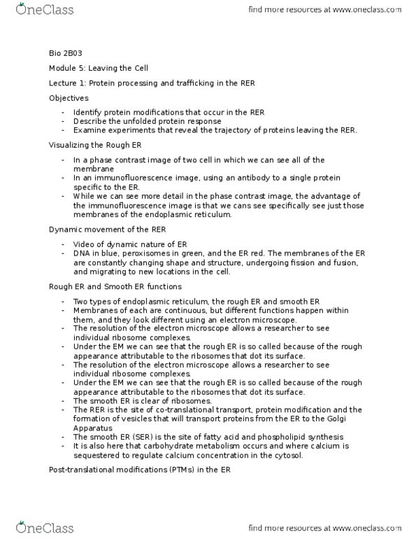 BIOLOGY 2B03 Lecture Notes - Lecture 5: Microtubule, Hydrolysis, Pancreatic Ribonuclease thumbnail