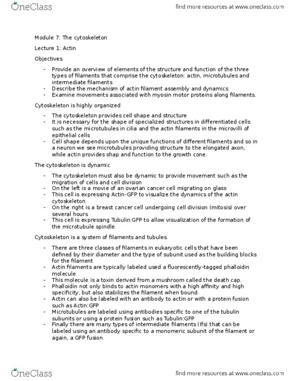 BIOLOGY 2B03 Lecture Notes - Lecture 7: Phosphorylation, Melanosome, Keratinocyte thumbnail