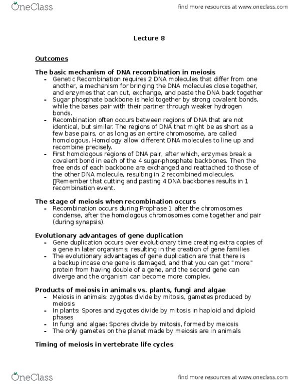 Biology 1201A Lecture Notes - Lecture 9: Meiosis thumbnail