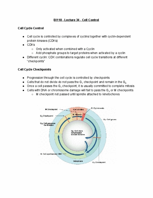 BI110 Lecture Notes - Lecture 34: Cyclin D, Signal Transduction, G2 Phase thumbnail