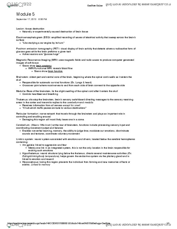 PSYC 1000 Chapter 5: Textbook Module 5 thumbnail