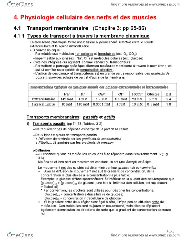 ANP 1505 Lecture Notes - Lecture 4: Invagination, Rein, Transfer Table thumbnail