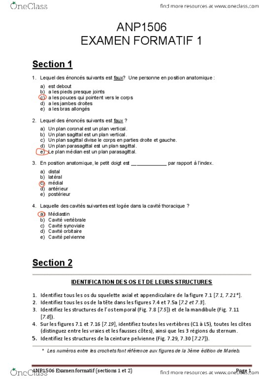 ANP 1506 Lecture Notes - Lecture 1: Chondrocyte, Calcification, Ossification thumbnail