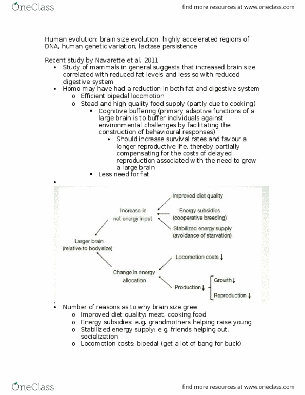 BIOLOGY 1M03 Lecture Notes - Lecture 1: Stabilizing Selection, Molecular Genetics, Mutation thumbnail