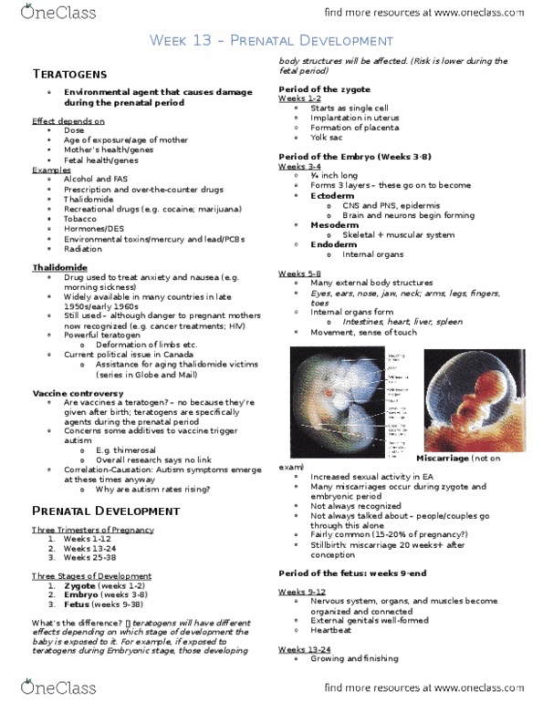 PSY 2105 Lecture Notes - Lecture 13: Miscarriage, Thiomersal, Fetus thumbnail