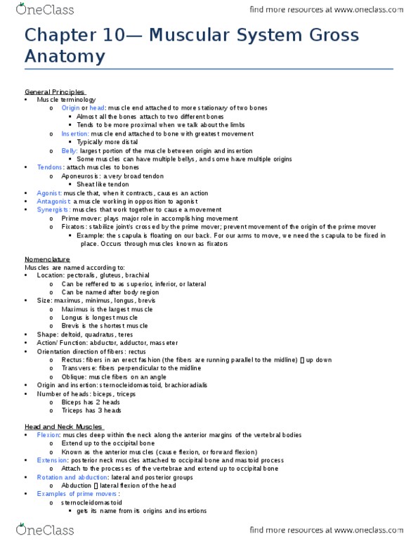 KINESIOL 1Y03 Lecture Notes - Lecture 13: External Intercostal Muscles, Defecation, Porton thumbnail