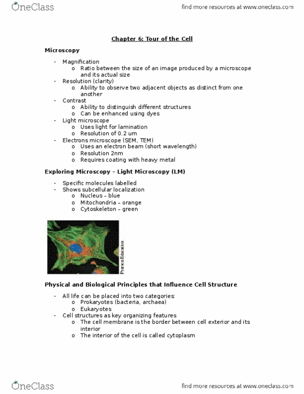 BIOL 102 Lecture Notes - Lecture 3: Hydrolysis, Symbiogenesis, Prokaryote thumbnail