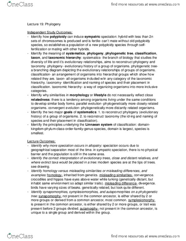 Biology 1001A Lecture Notes - Lecture 19: Synapomorphy, Sympatric Speciation, Phylogenetic Tree thumbnail