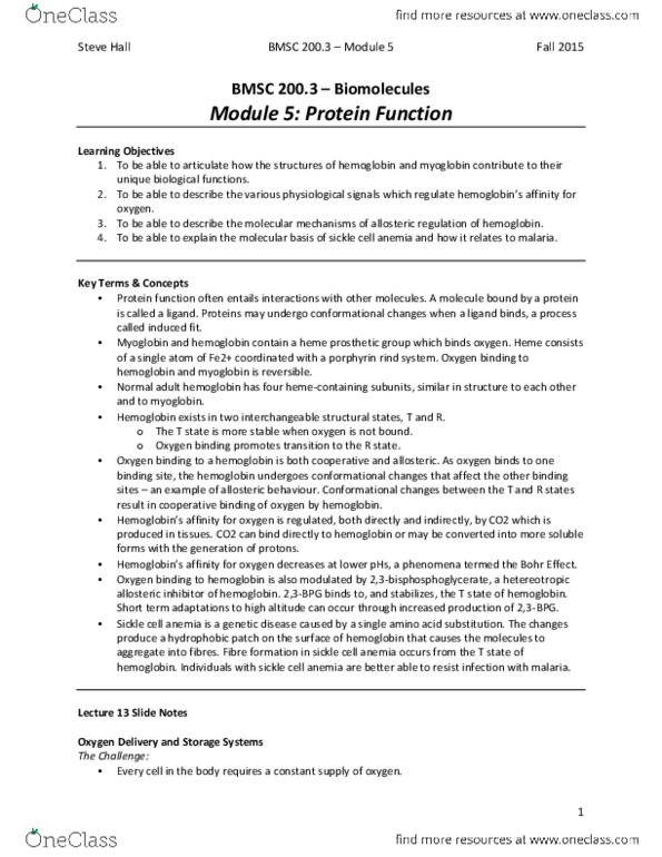 BMSC 200 Lecture Notes - Lecture 5: Imidazole, Histidine, Globin thumbnail