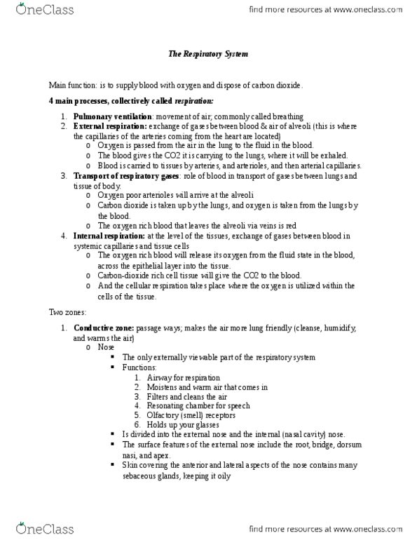 ANP 1105 Lecture Notes - Lecture 1: Trachea, Thoracic Cavity, Whiskers thumbnail