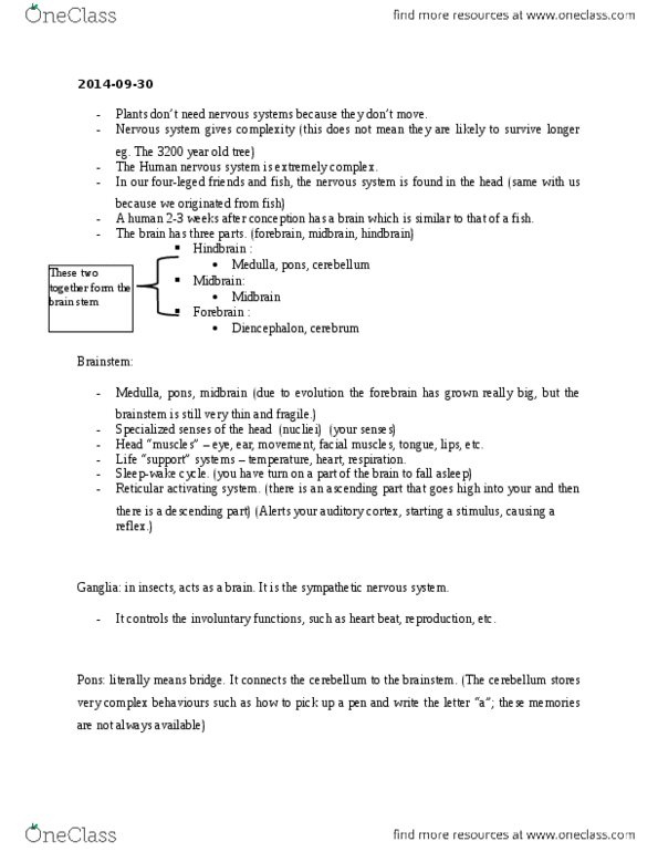 PSY 1101 Lecture Notes - Lecture 1: Grey Matter, Frontal Lobe, Thalamus thumbnail