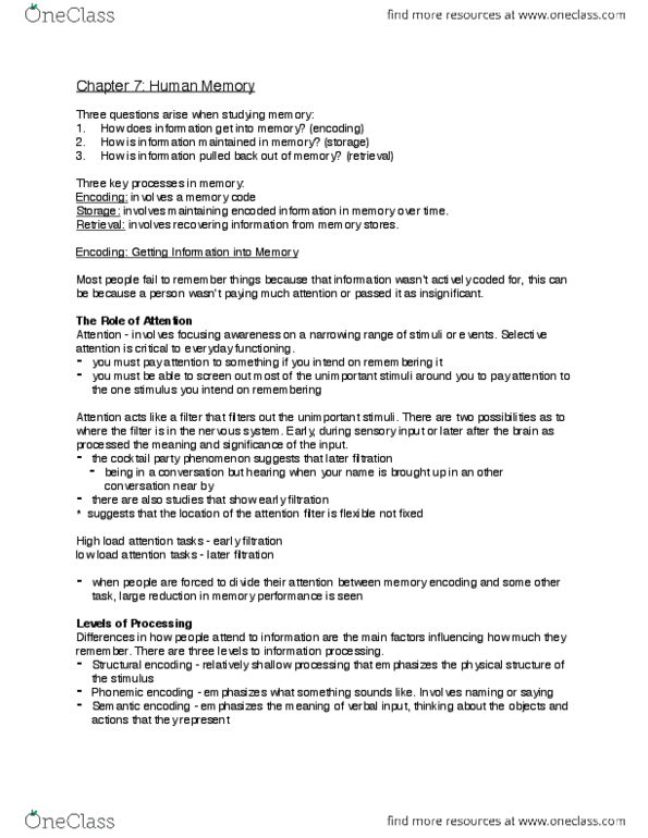 PSYC 1001 Chapter Notes - Chapter 7: Sketchpad, Temporal Lobe, Neural Pathway thumbnail