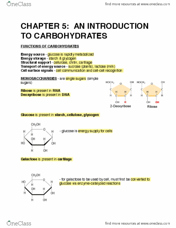 BIOLOGY 1A03 Lecture Notes - Lecture 3: Glycoprotein, Pentose, Aldehyde thumbnail