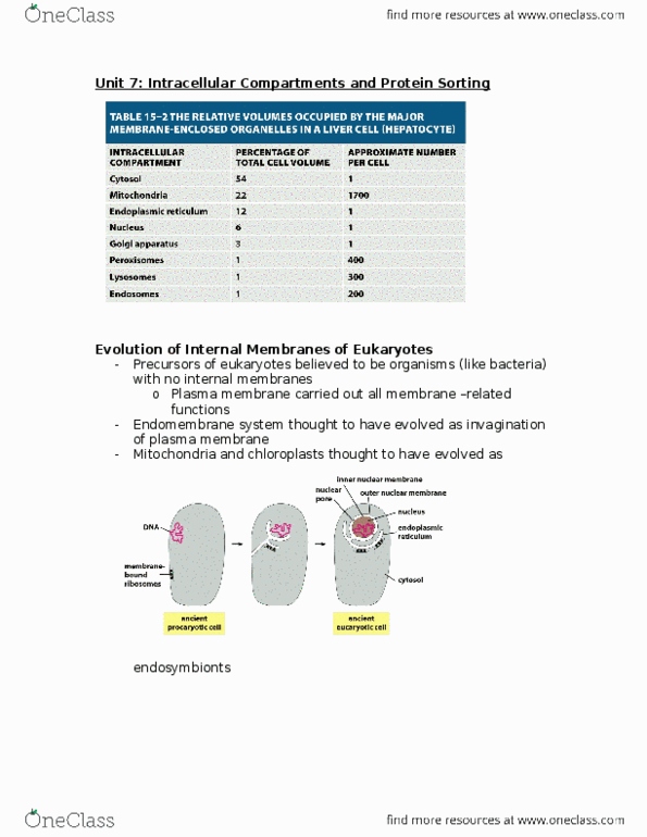 document preview image