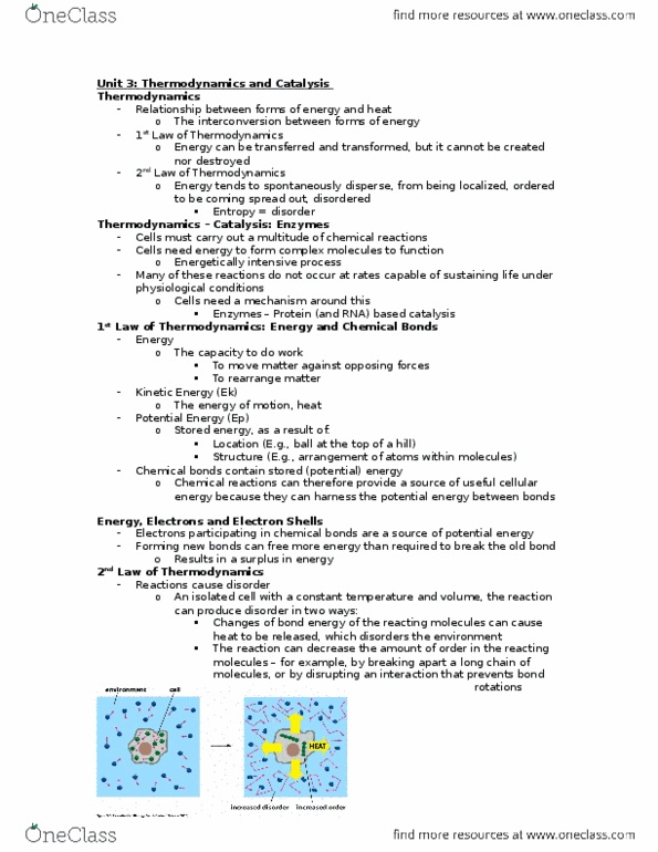 BIOL150 Lecture Notes - Lecture 3: Competitive Inhibition, Energy Level, Manganese thumbnail