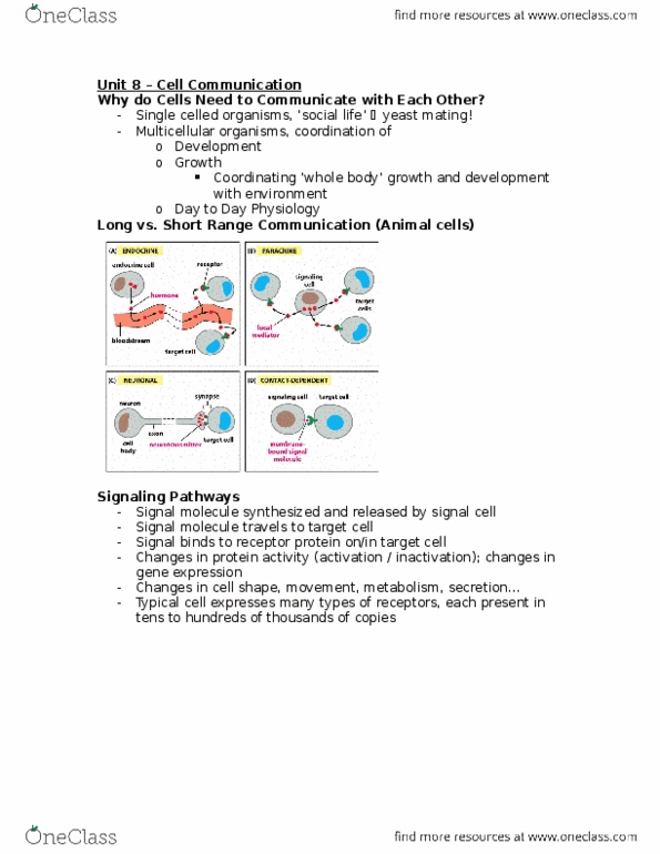 BIOL150 Lecture Notes - Lecture 8: Supreme Headquarters Allied Powers Europe, Hydrolysis, Threonine thumbnail