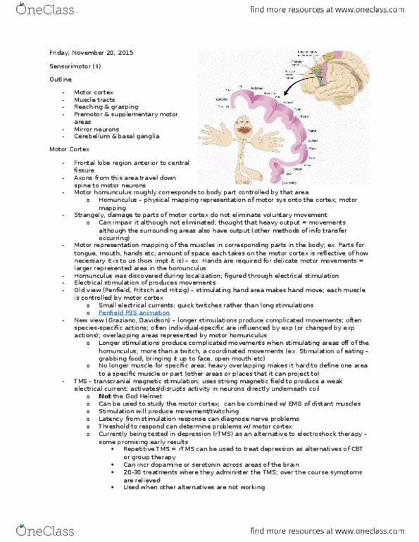 PSYC 271 Lecture Notes - Lecture 17: Supplementary Motor Area, Electroconvulsive Therapy, Premotor Cortex thumbnail
