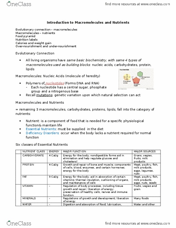 BLG 181 Lecture 10: Lecture 10_ Introduction to Macromolecules and Nutrients- NOTES thumbnail