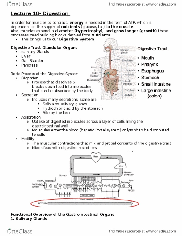 document preview image