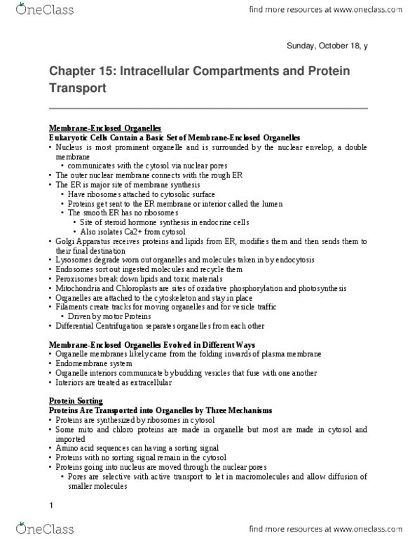 BIOL-2126EL Lecture Notes - Lecture 15: Nuclear Pore, Protein Targeting, Nuclear Membrane thumbnail