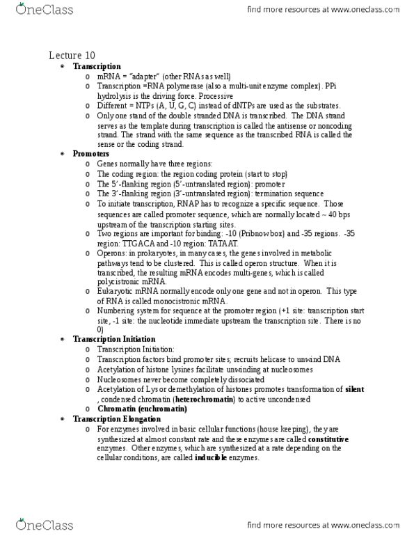 CAS CH 273 Lecture Notes - Lecture 10: Pribnow Box, Cistron, Operon thumbnail