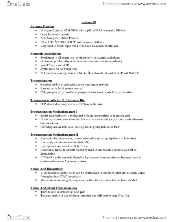 CAS CH 273 Lecture Notes - Lecture 18: Keto Acid, Schiff Base, N-Terminus thumbnail