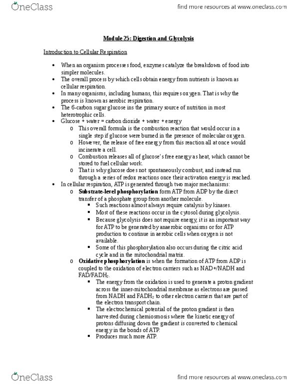 BI110 Chapter Notes - Chapter 25: Electrochemical Gradient, Oxidative Phosphorylation, Mitochondrial Matrix thumbnail