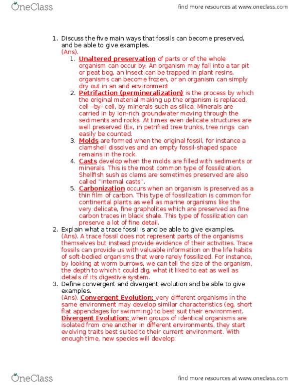 ENVS 1060 Lecture Notes - Lecture 9: Bog, Petrifaction, Permineralization thumbnail