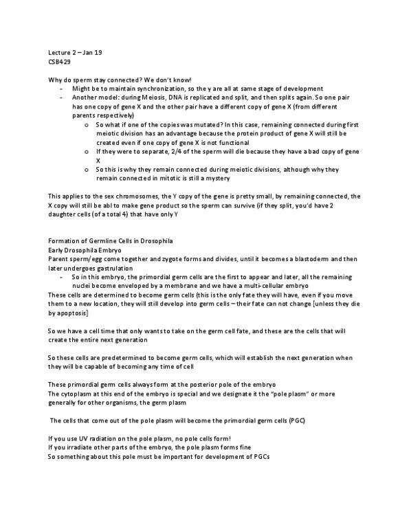 CSB429H1 Lecture Notes - Lecture 2: Germ Plasm, Germplasm, Oogenesis thumbnail