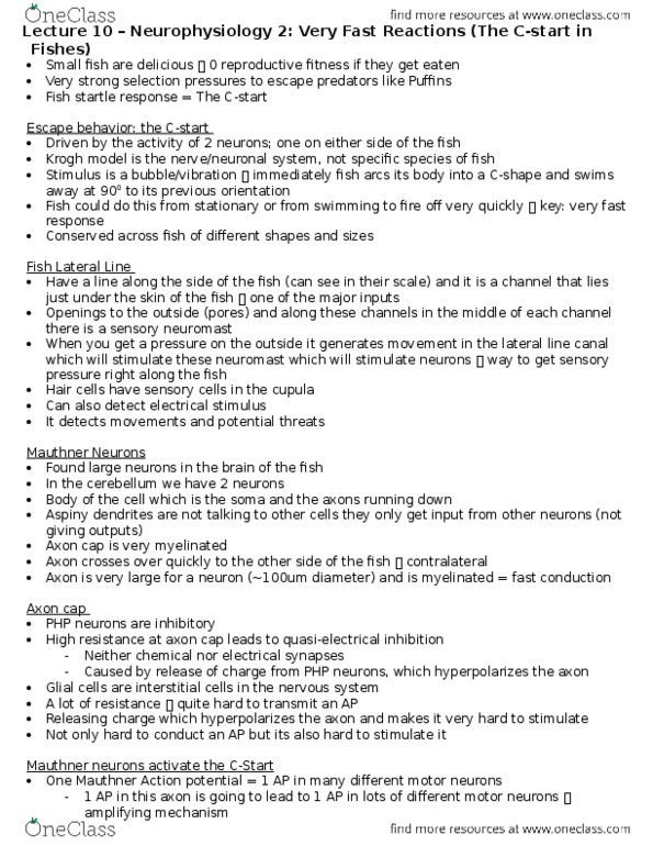 document preview image