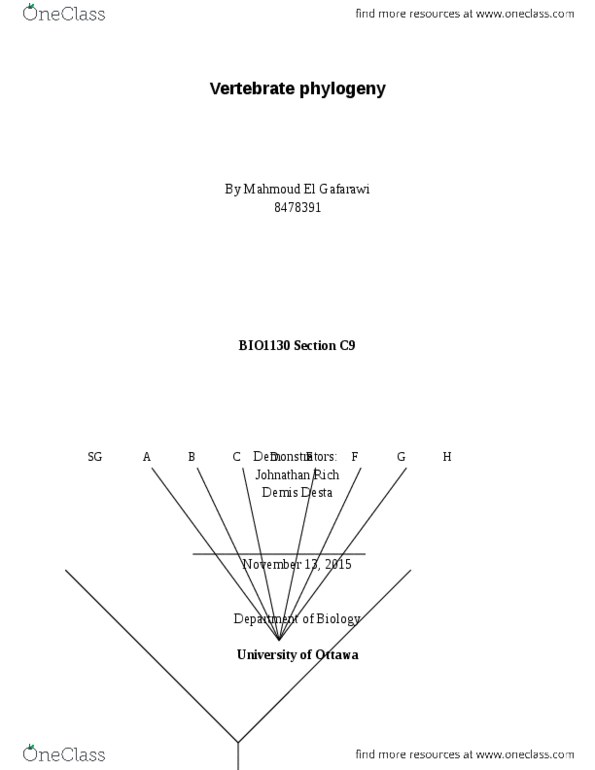 BIO 1130 Lecture Notes - Lecture 3: Lamprey, Occipital Condyle, Necturus thumbnail