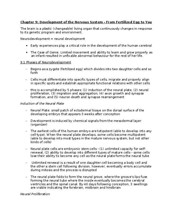 PSYC 2410 Chapter Notes - Chapter 9: Radial Glial Cell, Retinal Ganglion Cell, Neural Tube thumbnail