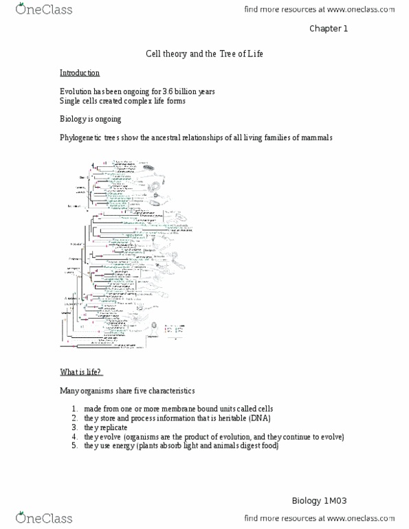 BIOLOGY 1M03 Chapter Notes - Chapter 1: Cell Theory, Spontaneous Generation, Selective Breeding thumbnail