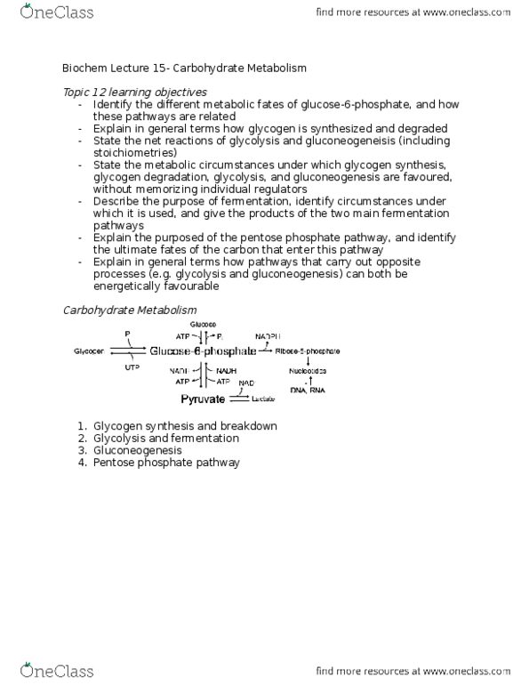 Biochemistry 2280A Lecture Notes - Lecture 15: Glycogen Phosphorylase, Glycogen Synthase, Glycogen thumbnail