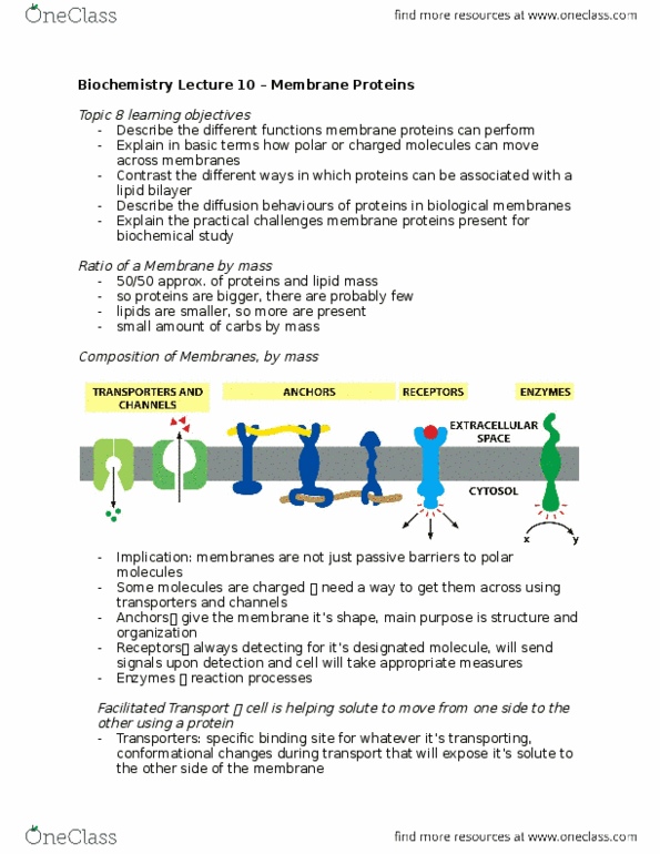 Biochemistry 2280A Lecture Notes - Lecture 10: Lipid Bilayer, Hydrogen Bond, Phospholipid thumbnail